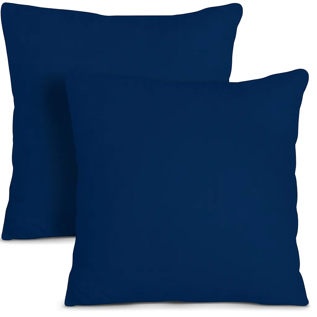Blue Throw Pillows
